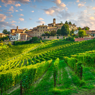 Wine - Piemonte