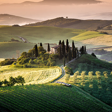 Wine - Tuscany