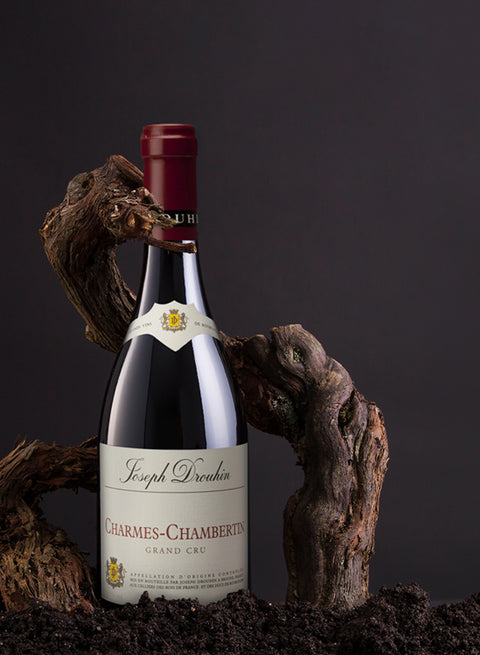 The Best of Burgundy